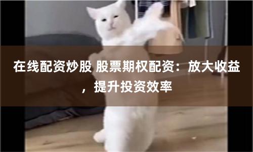 在线配资炒股 股票期权配资：放大收益，提升投资效率