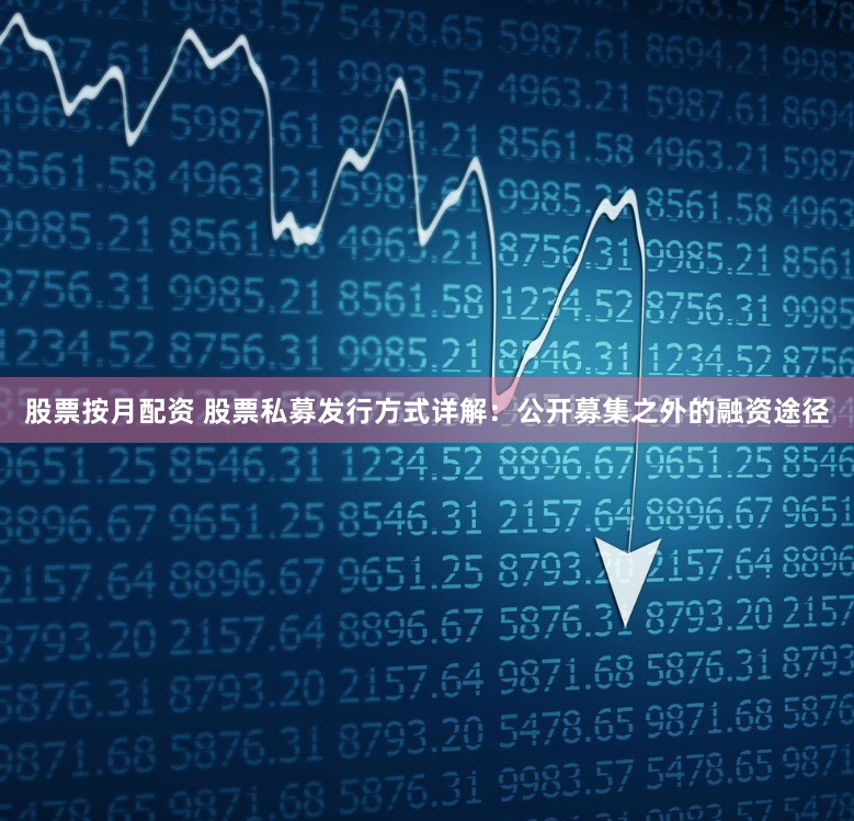 股票按月配资 股票私募发行方式详解：公开募集之外的融资途径