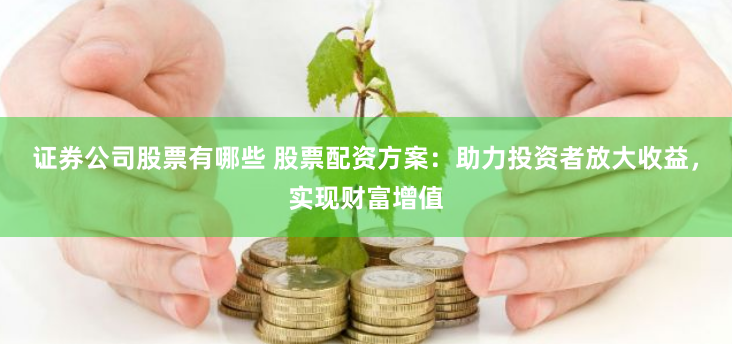 证券公司股票有哪些 股票配资方案：助力投资者放大收益，实现财富增值