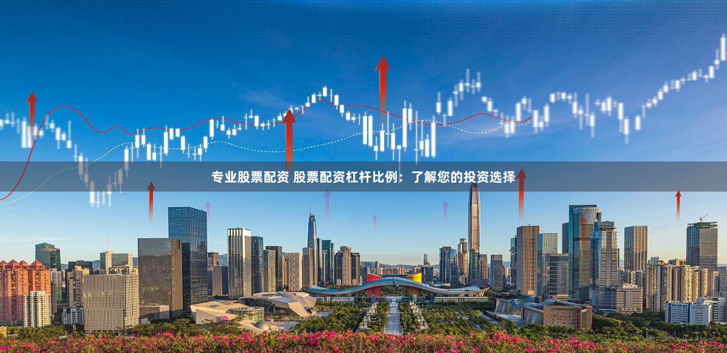 专业股票配资 股票配资杠杆比例：了解您的投资选择