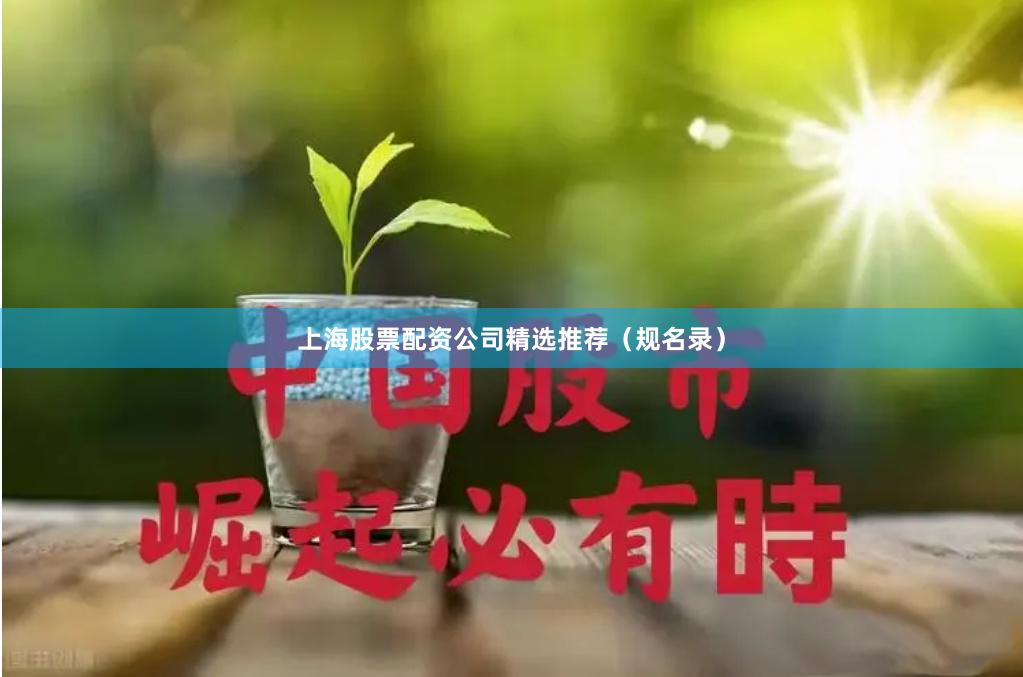 上海股票配资公司精选推荐（规名录）