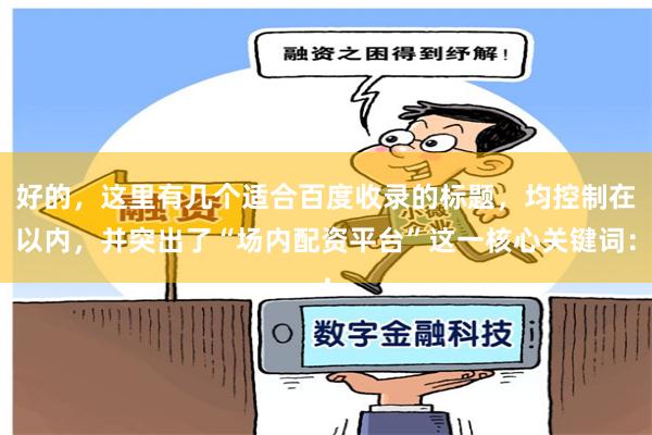 好的，这里有几个适合百度收录的标题，均控制在以内，并突出了“场内配资平台”这一核心关键词：